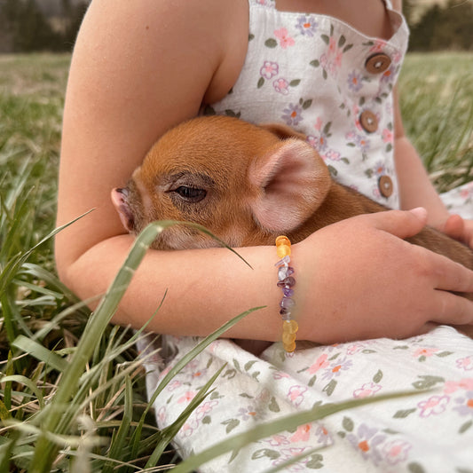 Honey & Genuine Amethyst Raw Amber Child Bracelet